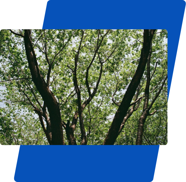 コンサルティング営業職